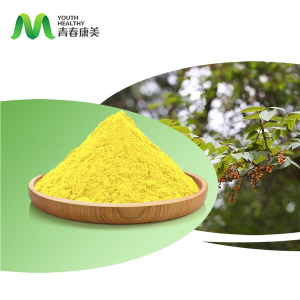 Cotinus Coggygria Manufacturer - Food Grade Organic High Grade Fisetin 98% Drum