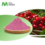 Sour Cherry Juice Manufacturer - Professional Factory Supply