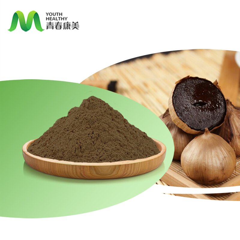 Black Garlic Extract Manufacturer - Halal 3% Polyphenols Healthcare Drum