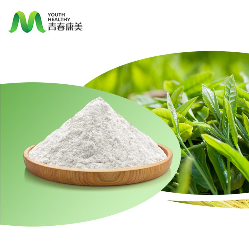 L-theanine Powder Manufacturer - Private Label Wholesale 99% Tea Extract