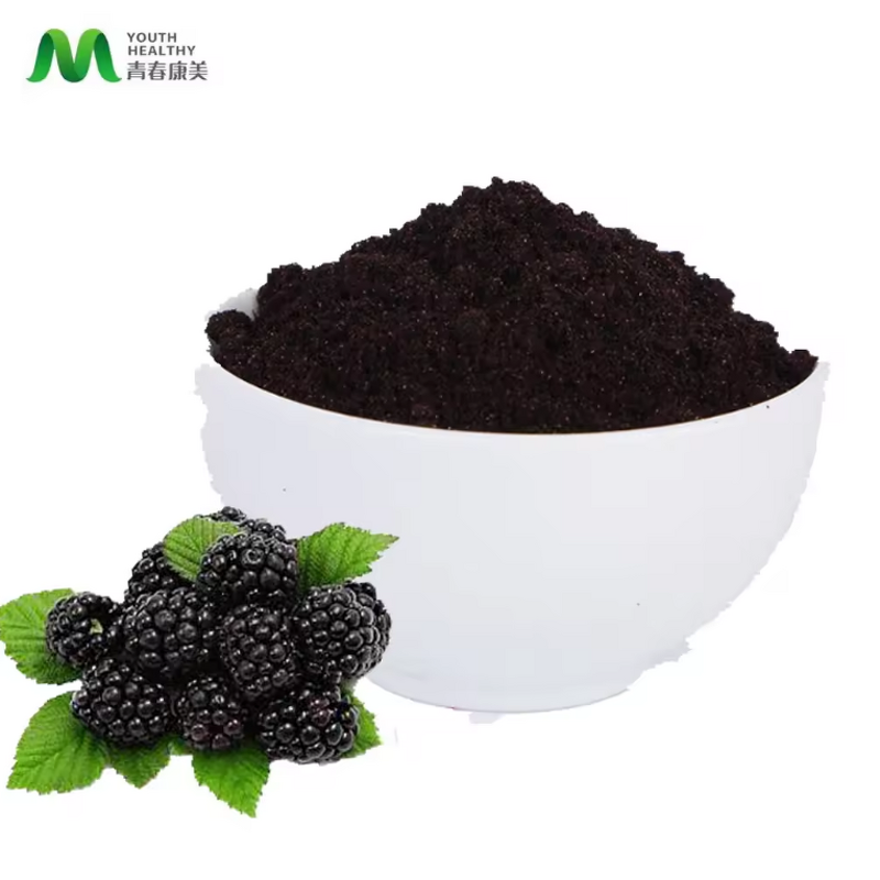 Mulberry Juice Manufacturer - Youth China Freeze-dried Supply