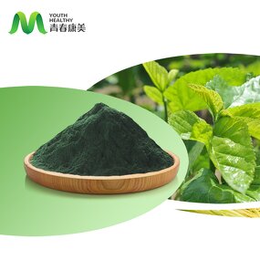 Mulberry Leaf Extract Manufacturer - 15% Sodium Copper Chlorophyllin HPLC Drum