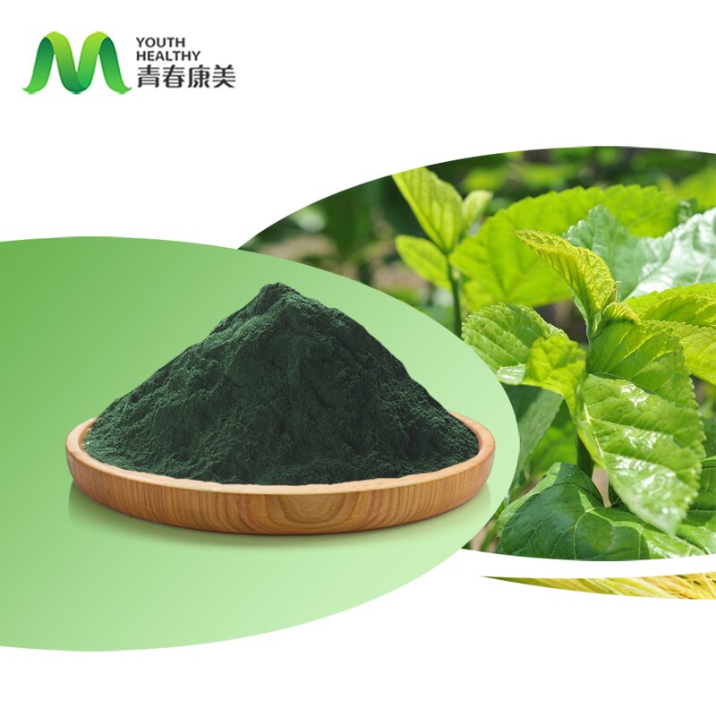 Mulberry Leaf Extract Manufacturer - 15% Sodium Copper Chlorophyllin HPLC Drum