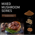 Reishi Mushroom Manufacturer - EU Organic Food Grade Vitamin Supplement Drum