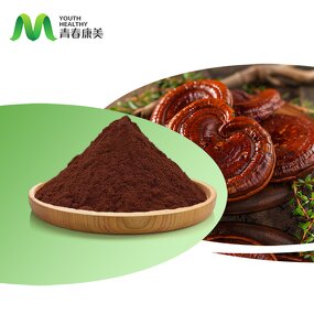 Reishi Mushroom Manufacturer - EU Organic Food Grade Vitamin Supplement Drum