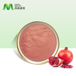 Pomegranate Fruit Manufacturer - 100% Natural Water Soluble Juice Powder