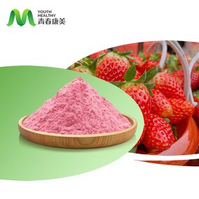 Strawberry Juice Manufacturer - Fruit Powder Manufacturers Organic Bulk