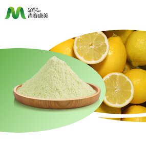 Lemon Fruit Extract Manufacturer - Natural Freeze Dried 10:1 Drum