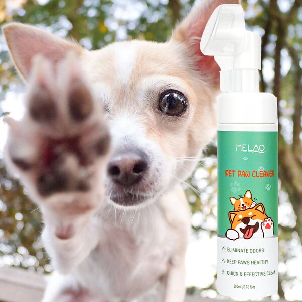 Pet Shampoo Manufacturer - Private Label Natural Dry Shampoo Cleaning Foam No Rinse Paw Cleaner
