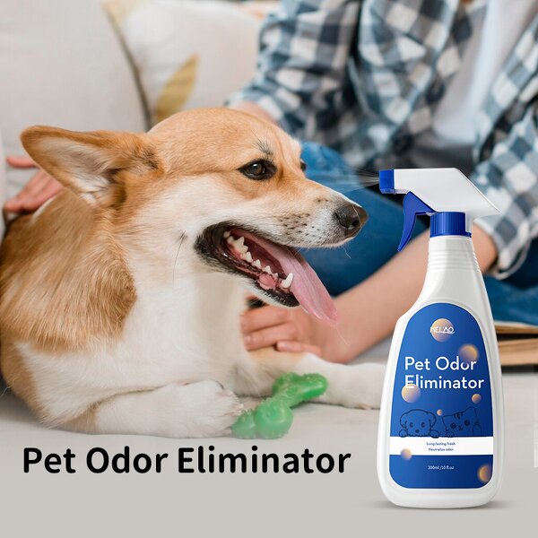 Odor Remover Manufacturer - Private Label Fragrance Free Neutralizer for Dog Cat Horse Pet Stain