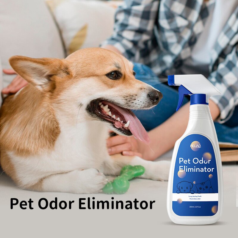 Odor Remover Manufacturer - Private Label Fragrance Free Neutralizer for Dog Cat Horse Pet Stain