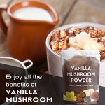 Mushroom Coffee Powder Manufacturer - Private Label Supplement Mushroom Blend Vanilla Instant Powder