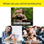 Kombucha Drink Manufacturer - Private Label Hydration Mix Sugar Free Live Probiotics Prebiotics Lemon