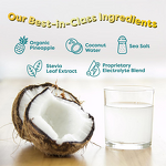 Electrolyte Powder Manufacturer - OEM Pina Colada Zero Sugar Keto Coconut Energy Drink Mix