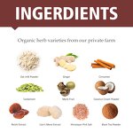 Mushroom Chai Tea Manufacturer - Private Label OEM Mushroom Masala Chai Adaptogens Spice Chai Tea