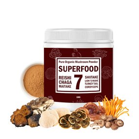Mushroom Extract Powder Manufacturer - OEM Organic Chaga Reishi Cordyceps Nootropic Supplement