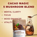 Cocoa Powder Manufacturer - Custom Health Support Focus Energy Alternative Mushroom Cocoa Powder