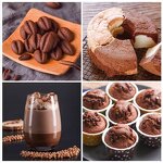 Cocoa Powder Manufacturer - Custom Health Support Focus Energy Alternative Mushroom Cocoa Powder