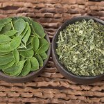 Detox Tea Manufacturer - OEM Natural Supplement Herbal Tea Dried Moringa Leaf Moringa Tea