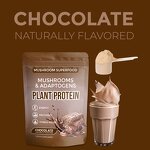 Mushroom Protein Manufacturer - Private Label Botanical Adaptogens 10 Mushrooms Energy Recovery Chocolate