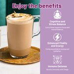 Almond Milk Powder Manufacturer - Organic Mushroom Almond Kit Plant Extract Supplement