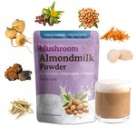Almond Milk Powder Manufacturer - Organic Pea Protein Quinoa Almond Milk Powder for Adults