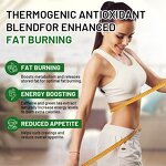 Weight Loss Capsule Manufacturer - Private Label Apple Cider Vinegar Detox Appetite Suppressant Fat Burn