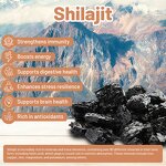 Coffee Creamer Manufacturer - Coffee 5 Organic Adaptogenic Mushrooms Energy Focus Shilajit Coconut Creamer