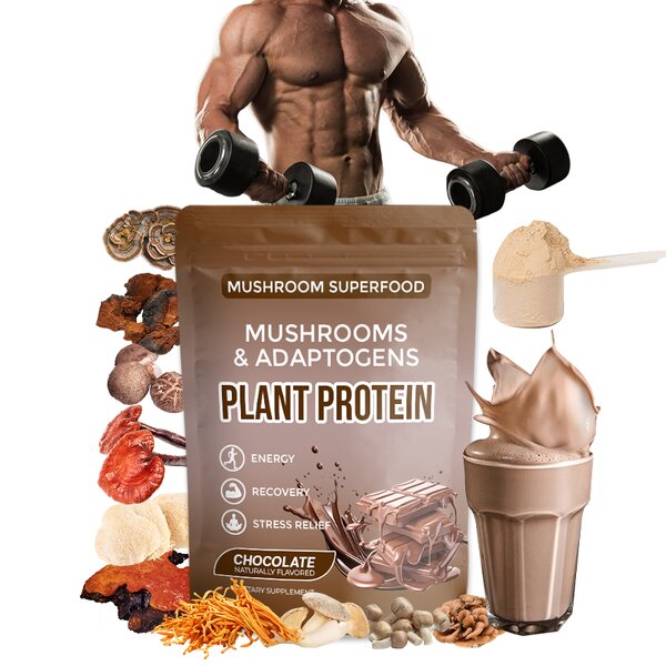 Mushroom Protein Manufacturer - Private Label Mushroom Extract Plant Based Protein Lions Mane Adaptogens