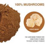 Mushroom Extract Manufacturer - Customized Packaging OEM Organic Lions Mane Mushroom Extract