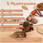 Coffee Creamer Manufacturer - Sugar Free Non-Dairy Mushroom Coconut Nootropic Shilajit Creamer Powder