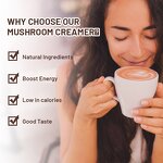 Mushroom Creamer Manufacturer - Private Label Superfood 5 Mushrooms Blend Coconut Cream Coffee Partner