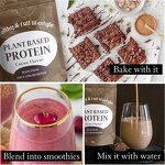 Plant Based Protein Powder Manufacturer - OEM Healthy Plant Based Cocoa Flavor Mushroom Vanilla
