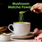 Matcha Powder Manufacturer - Custom Organic MCT Oil Immune Support Superfood Mushroom Matcha Powder