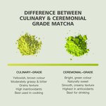 Matcha Powder Manufacturer - Private Label Ceremonial Grade Blueberry Matcha Powder