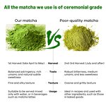 Matcha Latte Powder Manufacturer - Organic Ceremonial Grade Immune Support Pistachio Super Latte
