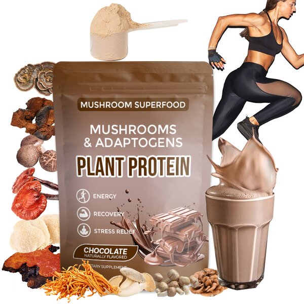 Mushroom Protein Manufacturer - Private Label Botanical Adaptogens 10 Mushrooms Energy Recovery Chocolate