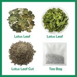Herbal Tea Manufacturer - Natural Chinese Healthy Herb Flat Belly Dried Lotus Leaf Lotus Tea