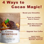 Cocoa Powder Manufacturer - Custom Health Support Focus Energy Alternative Mushroom Cocoa Powder