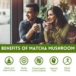 Matcha Powder Manufacturer - OEM Organic Ceremonial Grade Cinnamon Ashwagandha Mushroom Matcha Tea