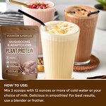 Mushroom Protein Manufacturer - Private Label Mushroom Extract Plant Based Protein Lions Mane Adaptogens