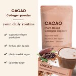 Cocoa Powder Manufacturer - Private Label Vegan Cacao Hyaluronic Acid Biotin Coconut Milk Collagen