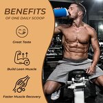 Plant Based Protein Manufacturer - OEM Wholesale Protein Cinnamon Rice Horchata Flavor Supplement