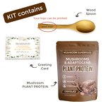 Protein Powder Manufacturer - OEM Gift Packaging Superfood Plant Based Energy Protein Mushroom Powder