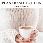 Plant Based Protein Powder Manufacturer - OEM Healthy Plant Based Cocoa Flavor Mushroom Vanilla