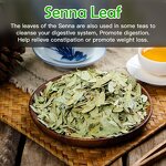 Detox Tea Manufacturer - Custom Herbal Weight Management Senna Leaf Herbal Blend Digestion Support