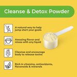 Detox Powder Manufacturer - Private Label Lemonade Detox Plant Based Lemon Maple Syrup Cayenne Diet