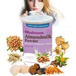 Almond Milk Powder Manufacturer - Mushroom Sweet Sugar Flavored Slimming Packaged in Bag