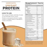 Plant Based Protein Manufacturer - OEM Wholesale Protein Cinnamon Rice Horchata Flavor Supplement