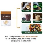 Mushroom Extract Manufacturer - Customized Packaging OEM Organic Lions Mane Mushroom Extract